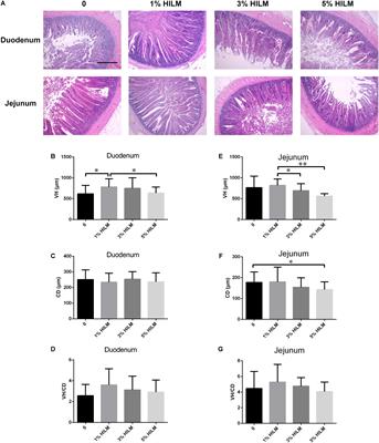 Black Soldier Fly (Hermetia illucens) Larvae Meal Modulates Intestinal Morphology and Microbiota in Xuefeng Black-Bone Chickens